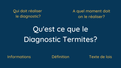 Qu'est ce que le Diagnostic Termites_
